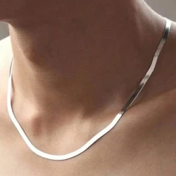 Çelik Silver İtalyan Kolye 45Cm
